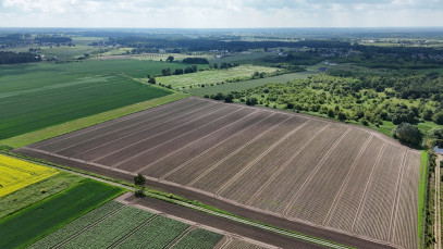 Działka Sprzedaż Goleniów